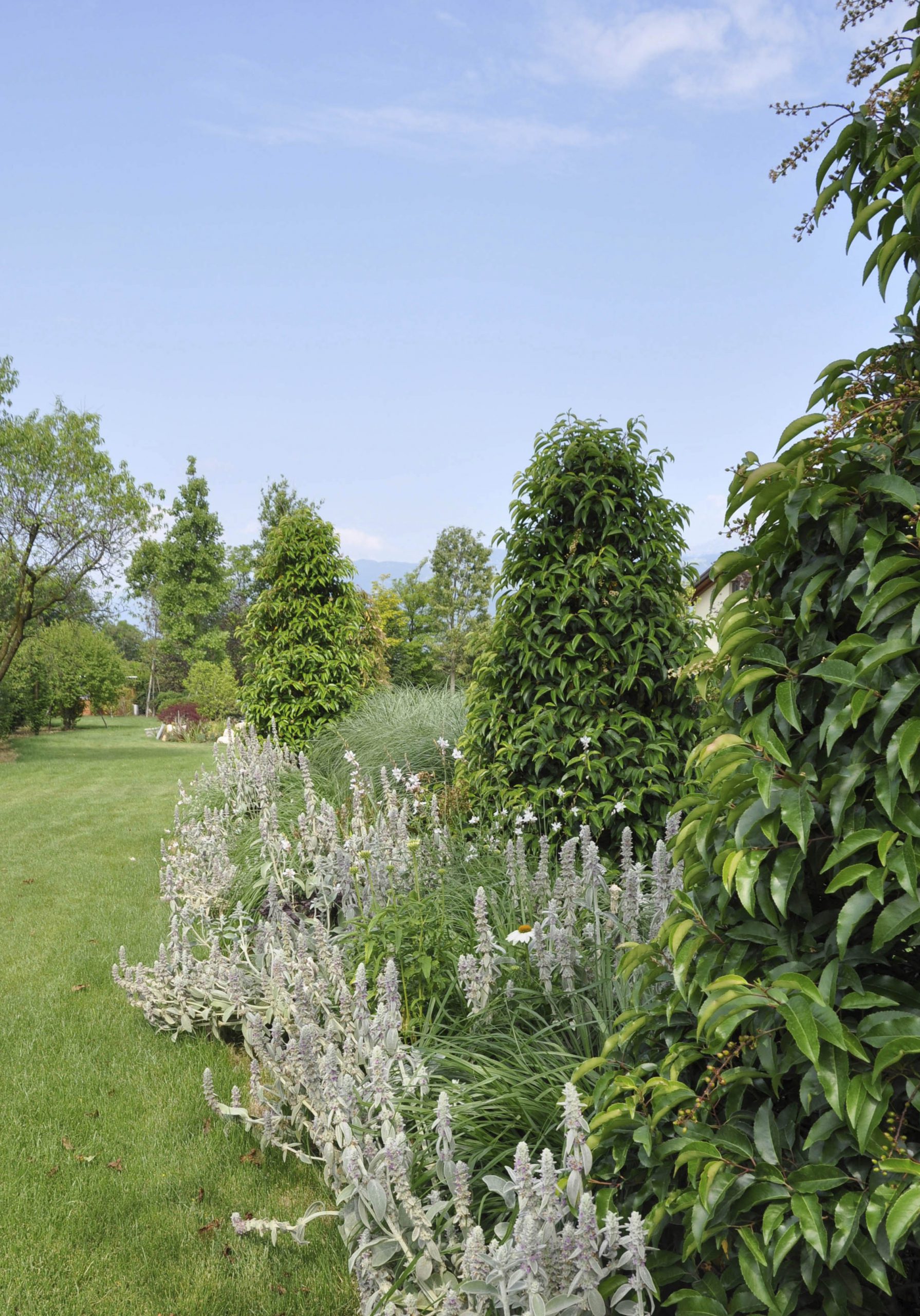 GIARDINO ET
